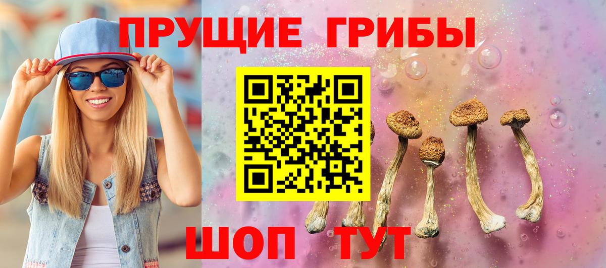 Улан-Удэ  наркошоп  Галлюциногенные грибы мухоморы  Вход с VPN  Псилоцибиновые грибы Psilocybe 